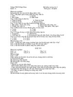 De Kiem tra HKI kem Dap an