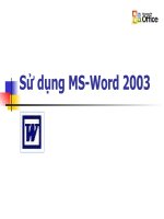 MS Word 2003 bang PP