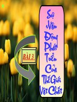 Bài 3: Sự vận động và phát triển của thế giới vật chất