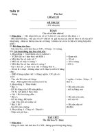 Giáo án lớp 3 - Tuần 19