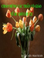 On tạp Quang học