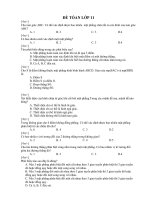 Đề toán lớp  11-2