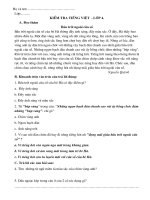 Đề đọc hiểu CKI - Lớp 4