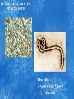 bài 45: virut gây bệnh