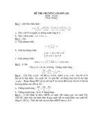 đề thi - d.a chuyên Lam Son - đề 11