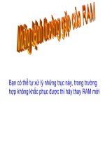 Những bệnh thường gặp của RAM