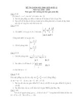 Đề thi chọn HSG lớp 12