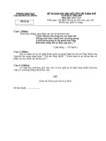 Đề thi học sinh giỏi Ngữ văn 9