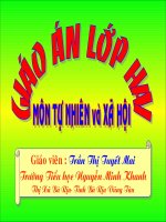 Bài 9: Phòng bệnh giun