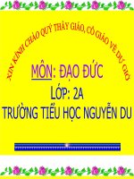Bảo vệ loài vật có ích