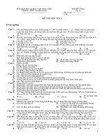 XK: KT HK 2 lop 11 (de 3)