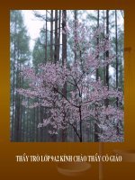 Cố hương tiết 1