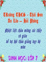 Tiết 26: nhện và sự đa dạng của lớp hình nhện