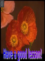 Unit 12: Lesson 1: A1-2/ p.124-125