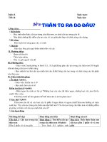 Bài 16: Thân to ra do đâu?