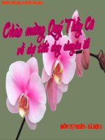 Cuộc sống xung quanh