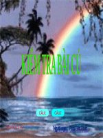 bài giảng  3 lớp 6