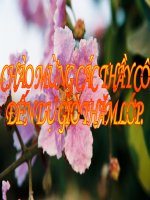 Tiết 107: Hội thoại