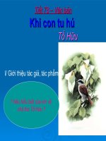 Tiết 78 - Khi con tu hú
