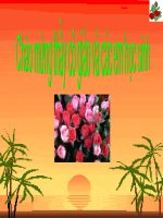 chiến tranh thế giới lần thứ 1