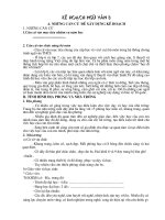 Kế hoạch cụ thể Văn 8