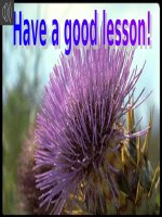 Unit 14: Lesson 3: B1-4/ p.144-145