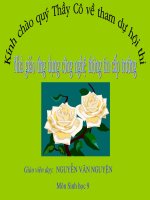 ĐỘT BIẾN SỐ LƯỢNG NHIỄM SẮT THỂ ( tt)