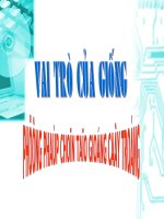 VAU TRÒ CỦA GIỐNG - PHƯƠNG PHÁP TẠO GIỐNG