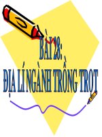 Bai 28 - ĐIA LI NGHANH TRONG TROT