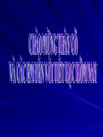 Bài 2: Sự chuyển động của Trái Đất quanh mặt Trời và hệ quả