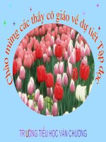 hội đua voi ở Tây Nguyên