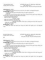 Đề thi Ngữ văn 11 HK 1 ( Tự luận)