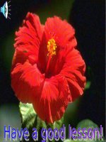 Unit 1: Lesson 3: B1-6/ P 14-16