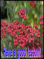 Unit 13: Lesson 3: A4-5/ p.136-137