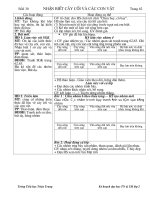 NHẬN BIẾT CÂY CỐI VÀ CON VẬT