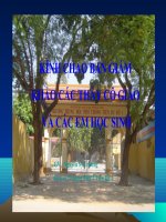 Bài 55: Sự phóng xạ