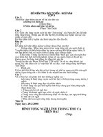 đề thi chọn HS giỏi Ngữ văn 9 trường chuyên Lê Quý Đôn