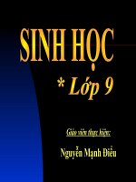 Bài 55: Ô nhiễm môi trường (tiếp 2)