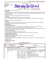 Gi.a văn 11 (Tuần 30)_NC