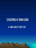 Sinh sản vô tính ở thực vật