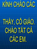 Tiết 105: Thuế máu