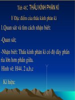 Bài 44: Thấu kính phân kỳ