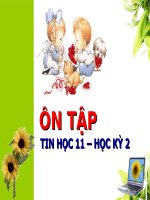 Ôn tập thi học kỳ 2