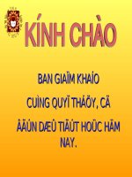 Bài soạn thi cấp tỉnh