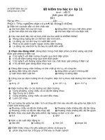 Đề kiểm tra học kì 1 lớp 11