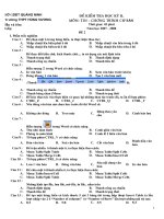 ĐỀ THI HK II _TIN HOC 10