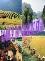 bai 10 _tiet 38: Hoi huong ngau thu