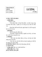 Tiết 99:  Lượm
