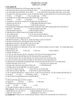 Đề kiểm tra Ngữ văn 10- nâng cao