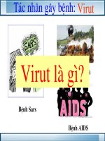 Bài 43 - SH 10 Virut